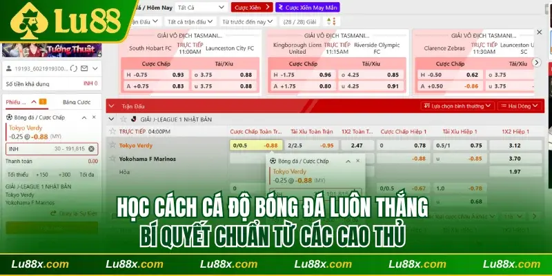 Cách cá độ bóng đá luôn thắng Lu88
